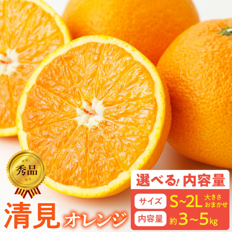 【限定】【2026年先行予約】 秀品 清見オレンジ 和歌山 有田 S ～ 2L サイズ 大きさ お任せ 選べる 内容量 約3kg ～ 約5kg 和歌山県 湯浅町 送料無料