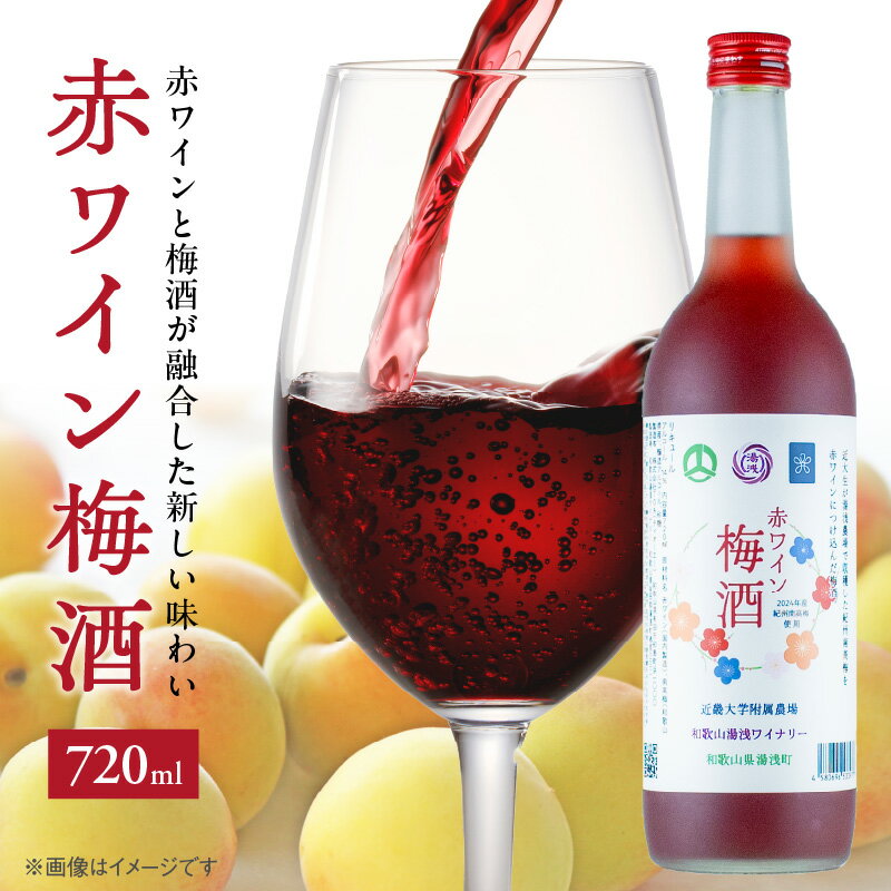 赤ワイン梅酒2024 720ml 赤ワイン 梅酒 飲みやすい 紀州南高梅 梅 お取り寄せ 和歌山県 湯浅町 送料無料