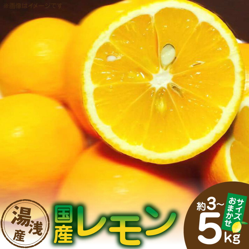 【限定】 レモン 湯浅町産 国産 選べる 内容量 約3kg 約5kg サイズおまかせ お取り寄せ 和歌山県 湯浅町 送料無料