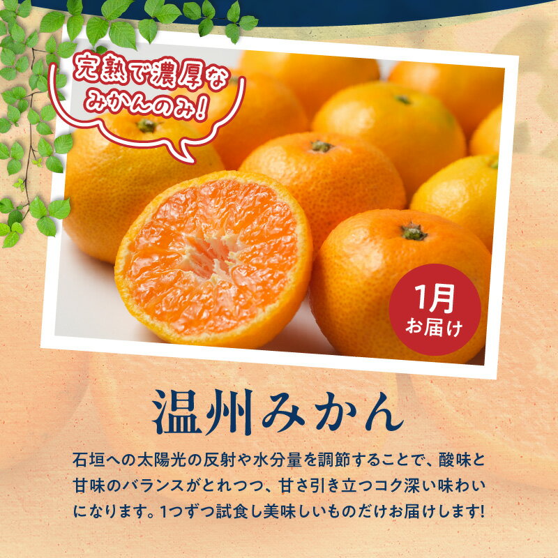 【ふるさと納税】限定 定期便 旬の 柑橘 セット 全4回 発送月固定 酸味 甘み バランス 完熟 温州みかん ジューシー プリップリ 果肉 不知火 とろける 食感 せとか 濃厚 果汁 清見オレンジ ご家庭用 訳あり 紀州 有田産 みかん 果物 お取り寄せ 和歌山県 湯浅町 送料無料 サムネイル3