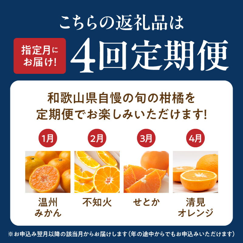 【ふるさと納税】限定 定期便 旬の 柑橘 セット 全4回 発送月固定 酸味 甘み バランス 完熟 温州みかん ジューシー プリップリ 果肉 不知火 とろける 食感 せとか 濃厚 果汁 清見オレンジ ご家庭用 訳あり 紀州 有田産 みかん 果物 お取り寄せ 和歌山県 湯浅町 送料無料 サムネイル2