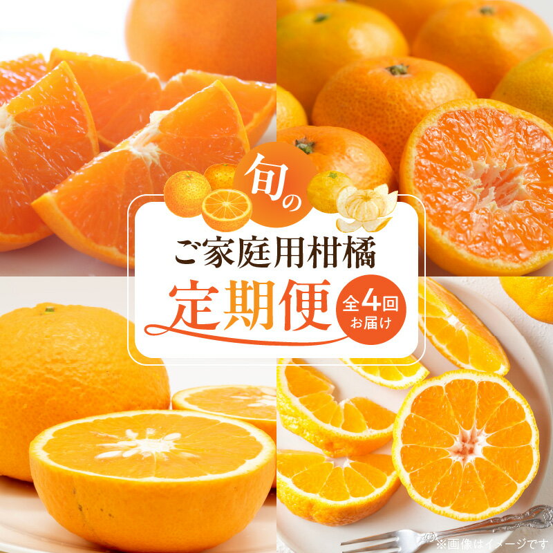 限定 定期便 旬の 柑橘 セット 全4回 発送月固定 酸味 甘み バランス 完熟 温州みかん ジューシー プリップリ 果肉 不知火 とろける 食感 せとか 濃厚 果汁 清見オレンジ ご家庭用 訳あり 紀州 有田産 みかん 果物 お取り寄せ 和歌山県 湯浅町 送料無料