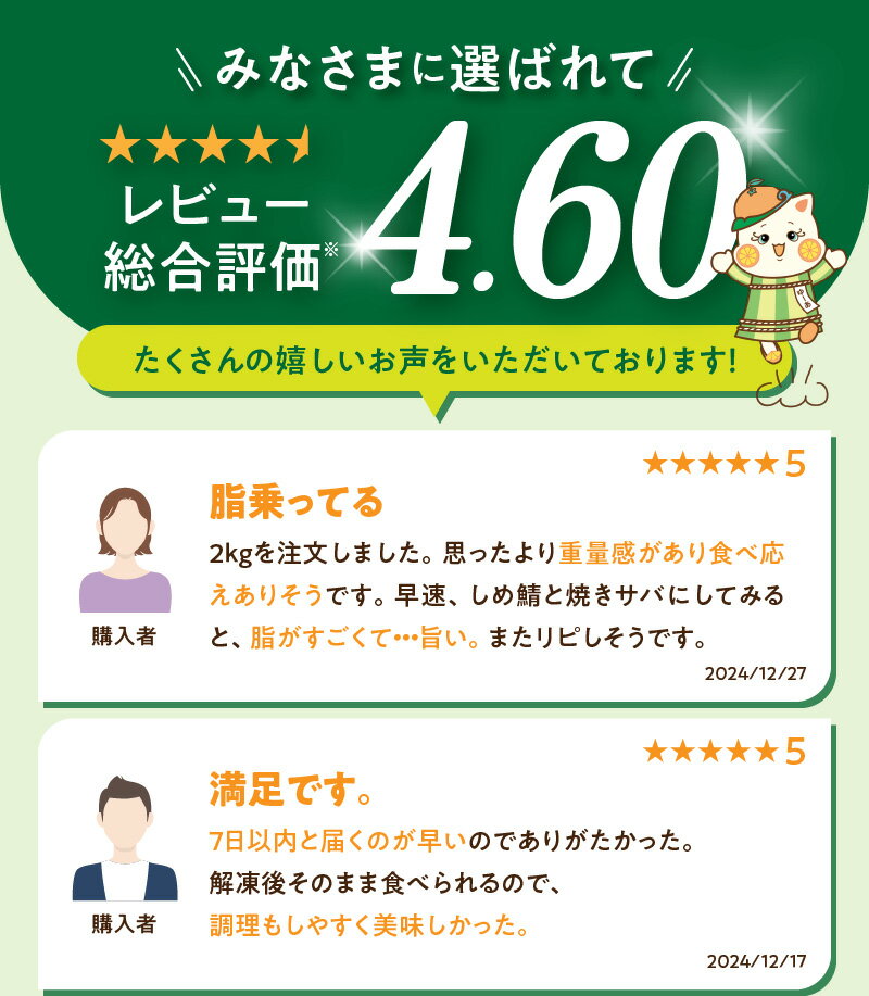 【ふるさと納税】 《7日以内発送》 《選べる配送月》 訳あり 塩さば フィレ 選べる 1kg ～ 3.5kg 食べやすい 切り身 おかず 時短 タイパ 焼くだけ 簡単 ご家庭用 弁当 アレンジ 水産加工品 さば 魚 魚介 海鮮 海の幸 海産物 魚鶴商店 冷凍 お取り寄せ 送料無料 サムネイル3