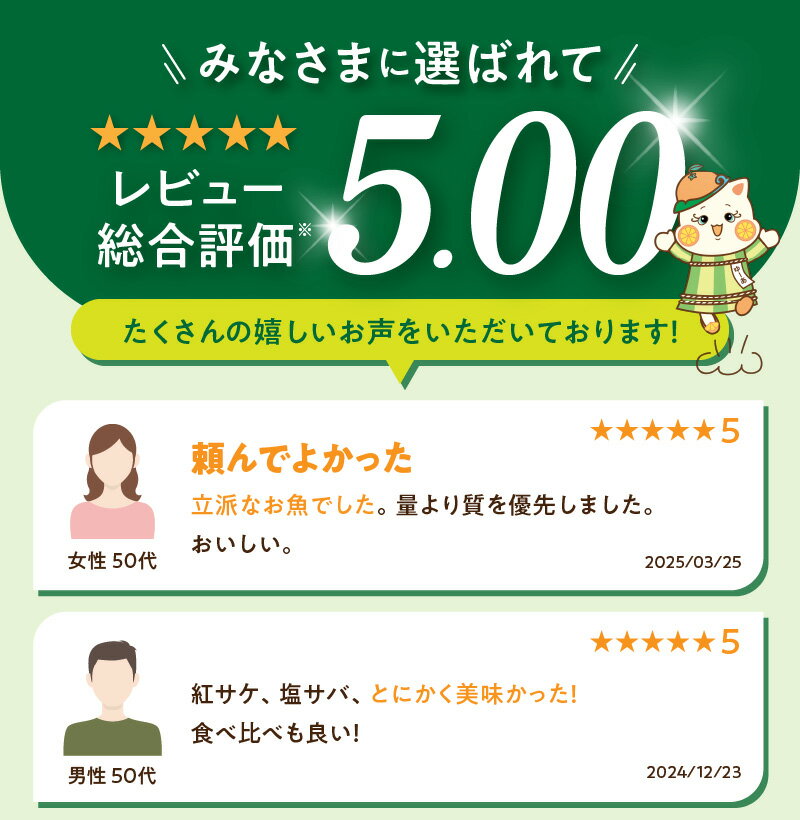 【ふるさと納税】【限定】 天然 紅サケ 1kg 塩さば 6枚 セット 選べる 発送時期 切身 フィレ 選りすぐり コク 旨み 鮭 肉厚 鯖 魚 海の幸 海鮮 魚介 食品 食べ物 おかず 料理 お弁当 ホイル焼き 煮魚 塩焼き 水産加工品 お取り寄せ 冷凍 和歌山 湯浅町 送料無料 サムネイル2