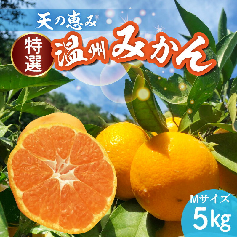 【2025年先行予約】 天の恵み 温州みかん Mサイズ 特選 5kg【ミカン 蜜柑 柑橘 温州みかん 和歌山】