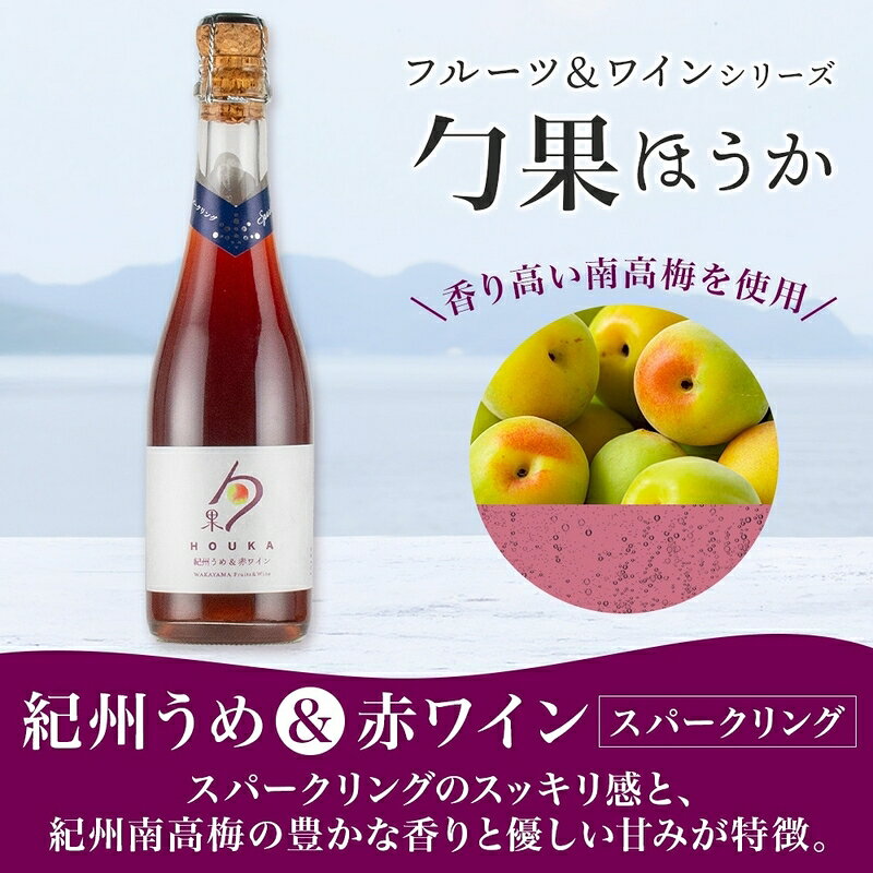 【ふるさと納税】【限定】 ワイン カクテル ほうか 紀州うめ ＆ スパークリングワイン 赤 白 2種 375ml × 各1本 7% ギフト箱付き 果物 赤ワイン 白ワイン ブレンド 甘み 日本ワイン 国産 甘味果実酒 アルコール 湯浅ワイナリー お取り寄せ 和歌山県 湯浅町 送料無料 サムネイル3