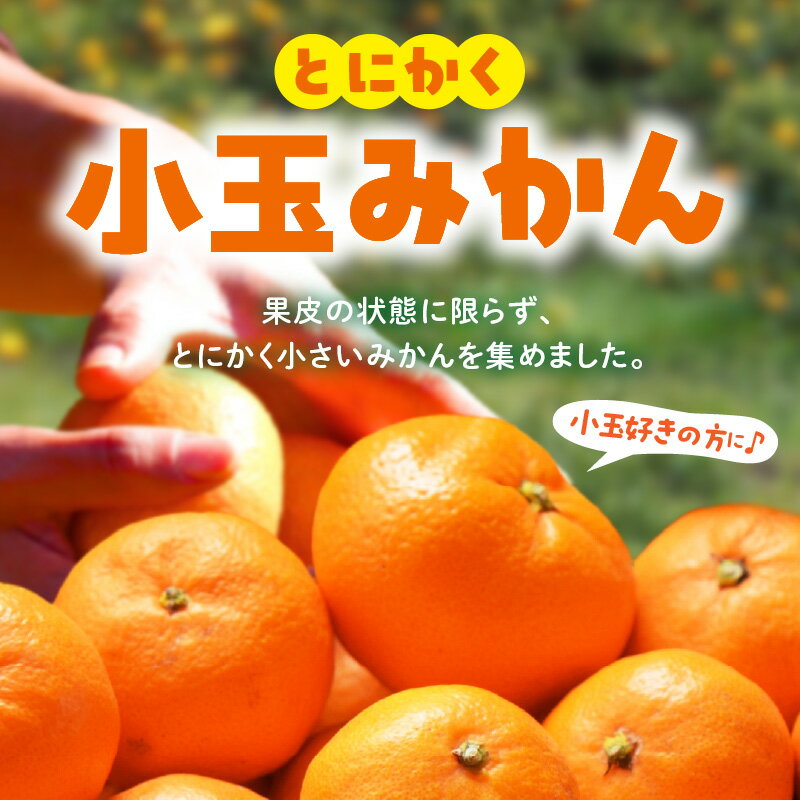 【ふるさと納税】【2025年先行予約】 みかん 小玉 2Sサイズ 以下 秀品 優品 混合 選べる 内容量 箱込 2.5kg ～ 10kg 有田みかん 和歌山県産 産地直送 みかんの会 フルーツ デザート お取り寄せ 和歌山県 湯浅町 送料無料 サムネイル3