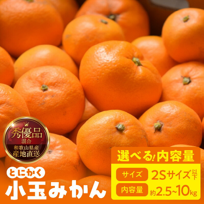【2025年先行予約】 みかん 小玉 2Sサイズ 以下 秀品 優品 混合 選べる 内容量 箱込 2.5kg ～ 10kg 有田みかん 和歌山県産 産地直送 みかんの会 フルーツ デザート お取り寄せ 和歌山県 湯浅町 送料無料
