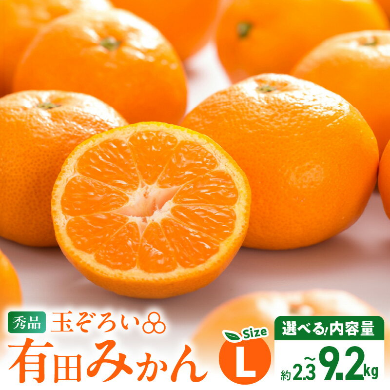 【TVで紹介されました】 年内発送 高評価 秀品 有田みかん 選べる 内容量 Lサイズ 傷み補償 付き 約 2.5~10kg 温州みかん 柑橘 果物 果実 フルーツ 甘味 酸味 バランス 人気 期間限定 グルメ お取り寄せ グルメ 和歌山県 湯浅町
