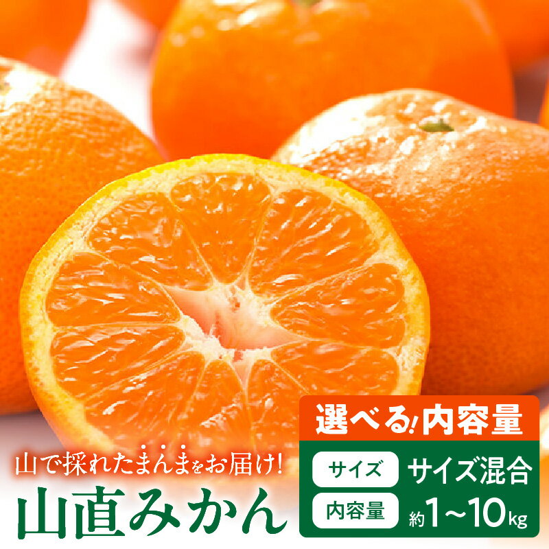 年内発送 みかん 山から直送 鮮度優先 ごろごろ規格 秀品 優品 良品 混合 選べる 内容量 箱込 1kg 〜 10kg 有田みかん 和歌山県産 産地直送 みかんの会 フルーツ デザート お取り寄せ 和歌山県 湯浅町 送料無料