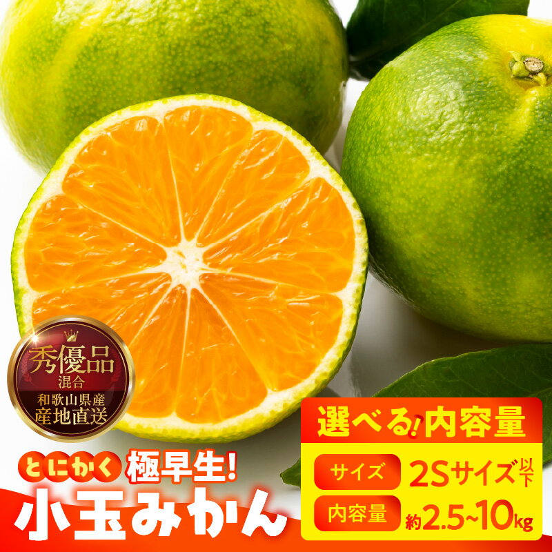 【限定】 【2025年先行予約】 小玉 みかん 極早生 2Sサイズ以下 秀品 優品 混合 選べる 内容量 箱込 2.5kg ～ 10kg 有田みかん 和歌山県産 さわやか 酸味 甘み さっぱり 口当たり みかんの会 フルーツ デザート お取り寄せ 和歌山県 湯浅町 送料無料