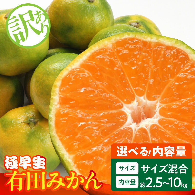 【2025年先行予約】 訳あり みかん 極早生 選べる 内容量 箱込 2.5kg ～ 10kg サイズ ミックス 優品 採れたて ごろごろ規格 有田みかん 新鮮 和歌山県産 フルーツ デザート 和歌山県 湯浅町 お取り寄せ お取り寄せフルーツ みかんの会 送料無料