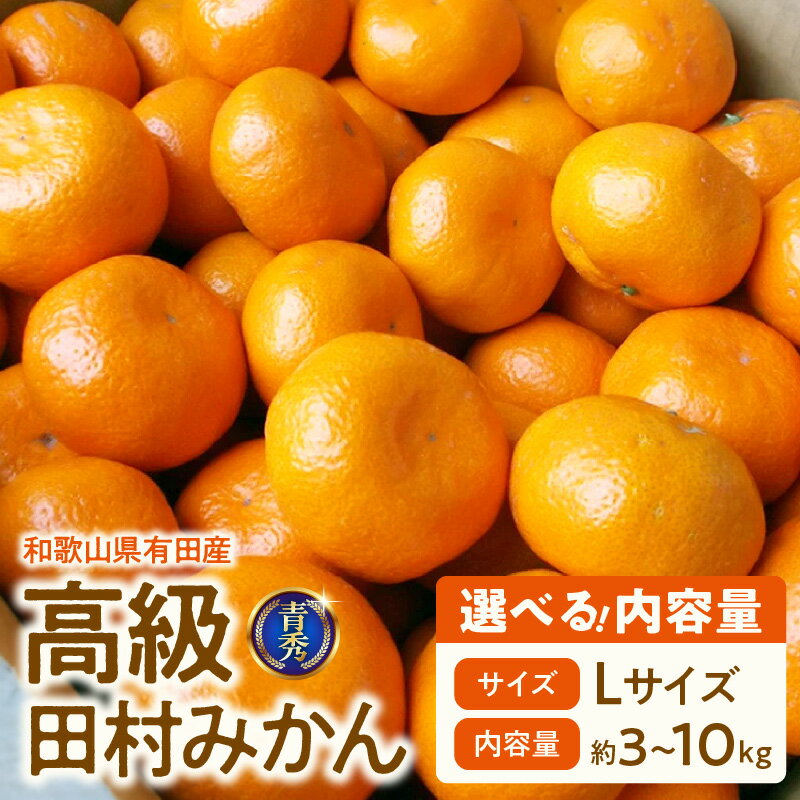 「高級 田村みかん」 青秀 選べる 内容量 約 3kg ～ 10kg Lサイズ 和歌山県有田産 有田みかん【ミカン 蜜柑 柑橘 温州みかん 和歌山産 有田みかん】