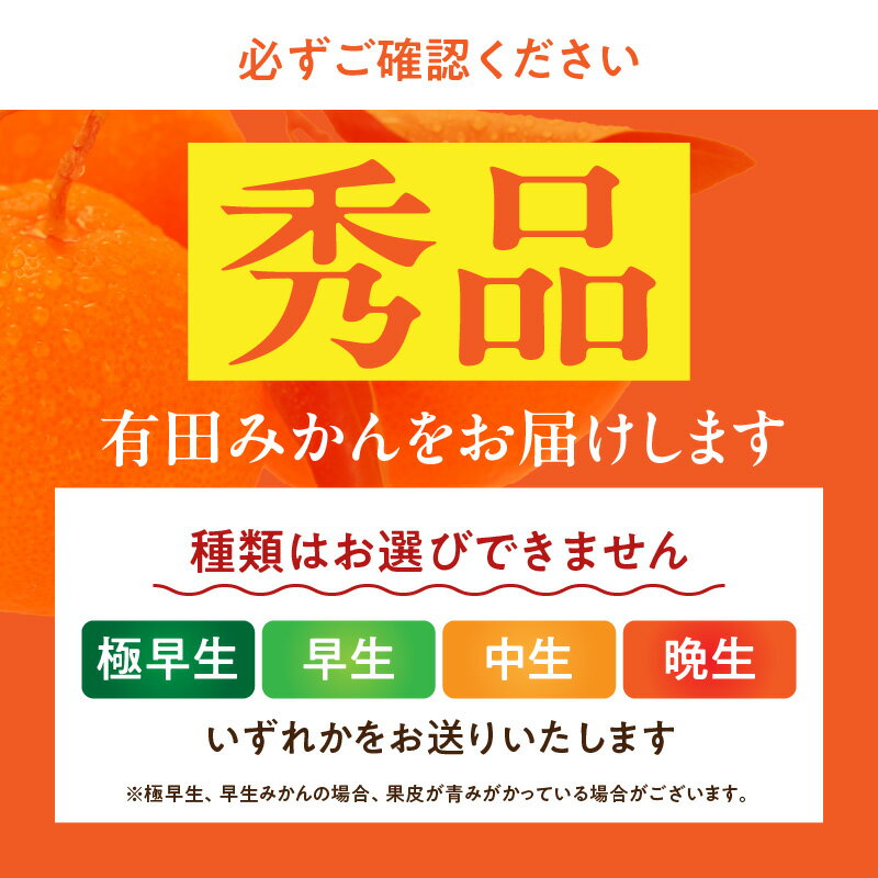 【ふるさと納税】【限定】 期間限定 有田みかん 5kg 秀品 サイズおまかせ 産地直送 薄皮 甘い 濃厚 ジューシー 温州みかん フルーツ 果実 果物 柑橘 国産 食品 食べ物 紀伊国屋文左衛門本舗 お取り寄せ 和歌山県 湯浅町 送料無料 サムネイル3