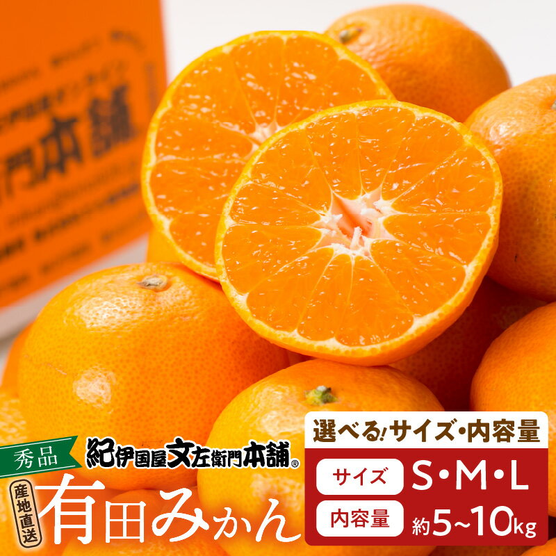 高評価★4.59 先行予約 有田みかん 秀品 選べる サイズ 内容量 S ~ L 5kg / 10kg コク 濃厚な甘さ ジューシー ノーワックス 温州みかん みかん フルーツ 柑橘 果物 果実 国産 食品 期間限定 お取り寄せ お取り寄せフルーツ 和歌山県 湯浅町 送料無料