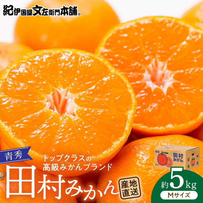 期間限定 田村みかん Mサイズ 5kg 紀州 有田 田村 みかん 柑橘 果物 果実 フルーツ 青秀 ノーワックス 最高級 プレミアム ブランド 濃厚 糖度 紀伊国屋文左衛門本舗 和歌山県 湯浅町 送料無料