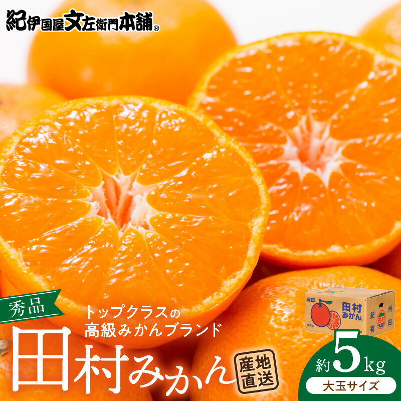 【限定】 田村みかん／5kg秀品【大玉サイズ】／紀州和歌山有田郡湯浅町田村地区産／最高級プレミアムブランドの田村ミカン／紀伊国屋文左衛門本舗(お届け日指定不可)