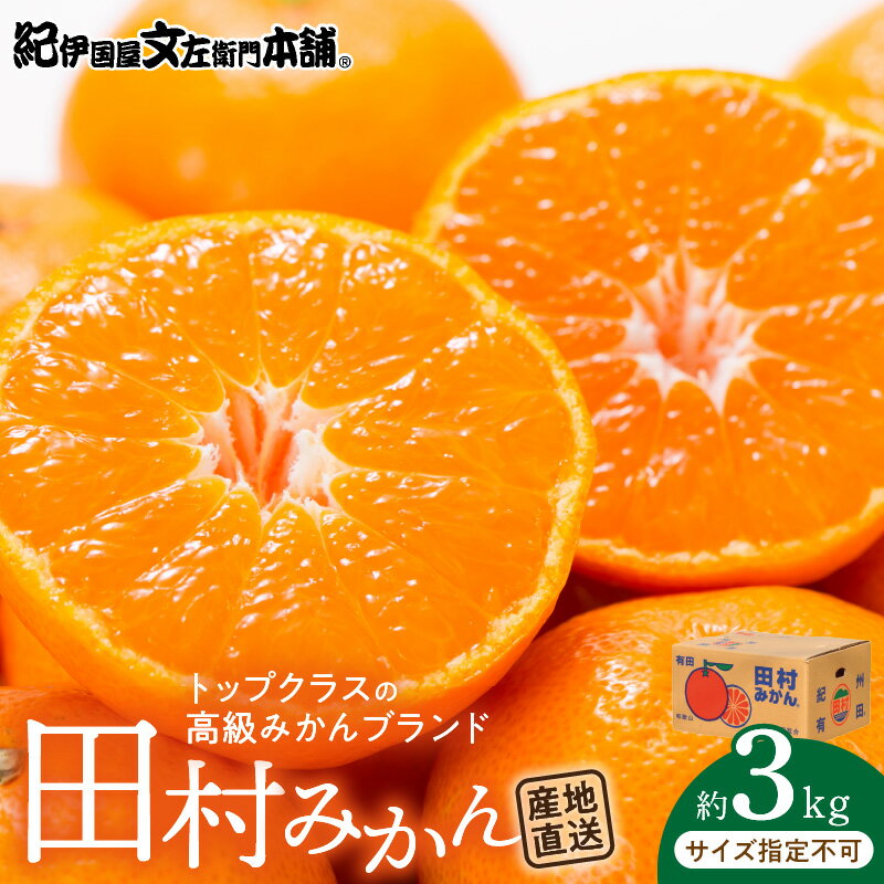 【限定】 田村みかん／特選ギフト品3kg／サイズ指定なし／紀州和歌山有田郡湯浅町田村地区産／最高級プレミアムブランドの田村ミカン／紀伊国屋文左衛門本舗(お届け日指定不可)