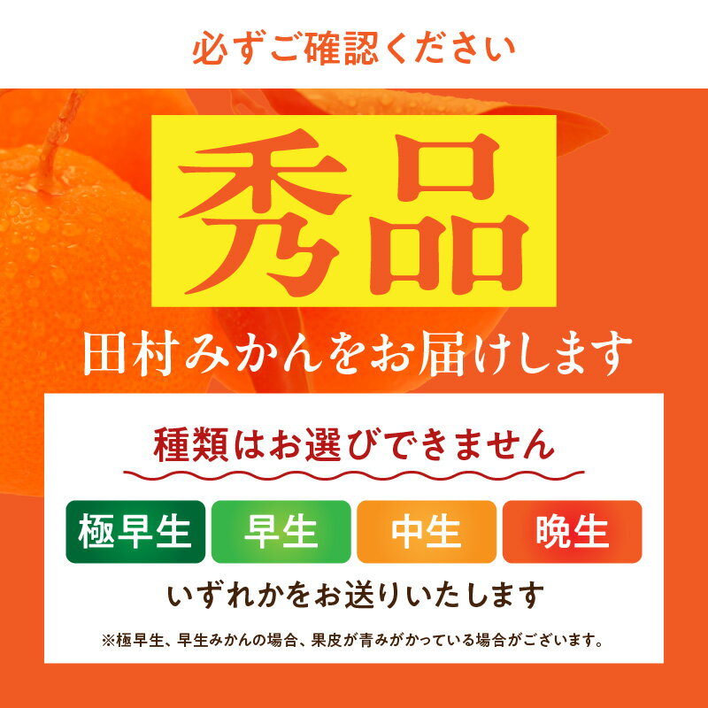 【ふるさと納税】【限定】 田村みかん 5kg 3S～2S 小玉サイズ 秀品 化学肥料不使用 みかん フルーツ 果物 果実 柑橘 国産 食品 食べ物 産地直送 お取り寄せ 和歌山県 湯浅町 紀伊国屋文左衛門本舗 送料無料 サムネイル2