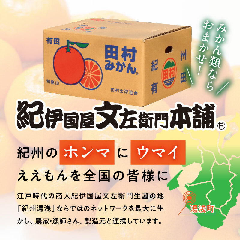 【ふるさと納税】期間限定 赤秀 田村みかん 10kg Mサイズ 特選 濃厚 ジューシー みかん 本来 旨さ コク 有田みかん 最高 バランス 甘み 酸味 ブランド フルーツ 果実 果物 柑橘 国産 食べ物 産地直送 紀伊国屋文左衛門本舗 お取り寄せ 和歌山県 湯浅町 送料無料 サムネイル3
