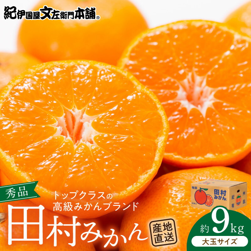 【限定】【2026年先行予約】 田村みかん／9kg 秀品【大玉サイズ】／紀州和歌山有田郡湯浅町田村地区産／最高級プレミアムブランドの田村ミカン／紀伊国屋文左衛門本舗(お届け日指定不可)