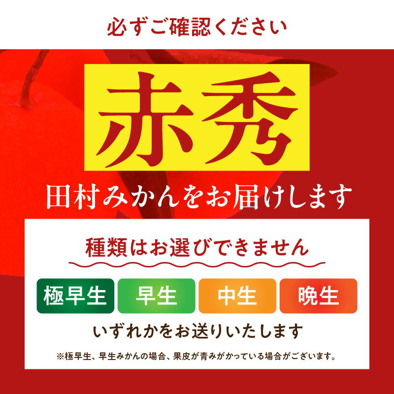 【ふるさと納税】期間限定 赤秀 田村みかん 10kg Mサイズ 特選 濃厚 ジューシー みかん 本来 旨さ コク 有田みかん 最高 バランス 甘み 酸味 ブランド フルーツ 果実 果物 柑橘 国産 食べ物 産地直送 紀伊国屋文左衛門本舗 お取り寄せ 和歌山県 湯浅町 送料無料 サムネイル2