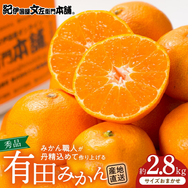 ブランド有田みかん 秀品 約2.8kg【サイズおまかせ】／産地直送／薄皮で甘い美味しい和歌山県産／紀伊国屋文左衛門本舗