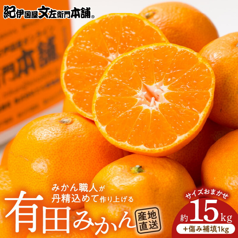 有田みかん 約15kg(+傷み補填分1kg)=合計16kg【サイズおまかせ】／産地直送／紀伊国屋文左衛門本舗（お届け日指定不可）