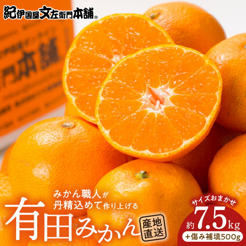 有田みかん約7.5kg(+傷み補填分500g)=合計8kg【サイズおまかせ】／産地直送／紀伊国屋文左衛門本舗（お届け日指定不可）