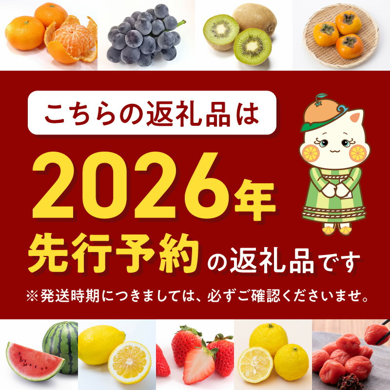 【ふるさと納税】【2026年先行予約】 TVで紹介 高評価 有田みかん 選べる サイズ 内容量 配送月 定期便 サイズ混合 2S ～ 2L 約 1kg ～ 15kg 温州みかん みかん フルーツ 柑橘 果物 果実 デザート 国産 食物 期間限定 産地直送 お取り寄せ 和歌山県 湯浅町 送料無料 - 画像2