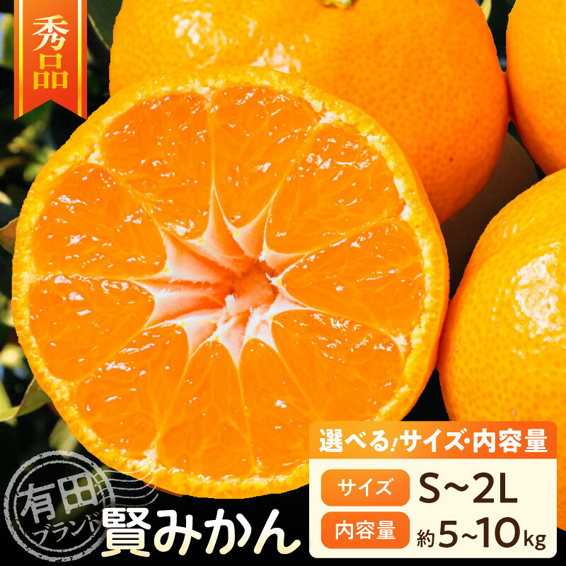 【2026年先行予約】 賢みかん 選べる 内容量 サイズ 約5kg 約10kg S～2Lサイズ 秀品 有田ブランド 甘さ 酸味 バランス 濃厚 コク みかん 温州みかん 有田みかん 柑橘 果物 果実 フルーツ デザート お取り寄せ お取り寄せフルーツ 和歌山県 湯浅町 送料無料