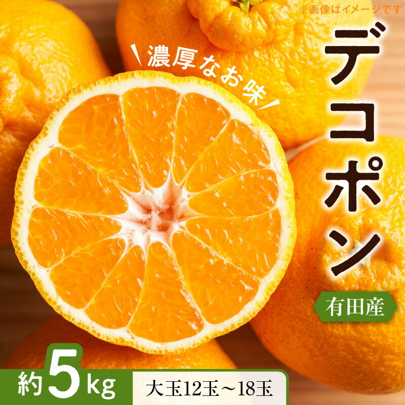 【限定】 【先行予約】 【お味濃厚】紀州有田産 の 大玉 デコポン 5kg (12玉～18玉入り・青秀以上)