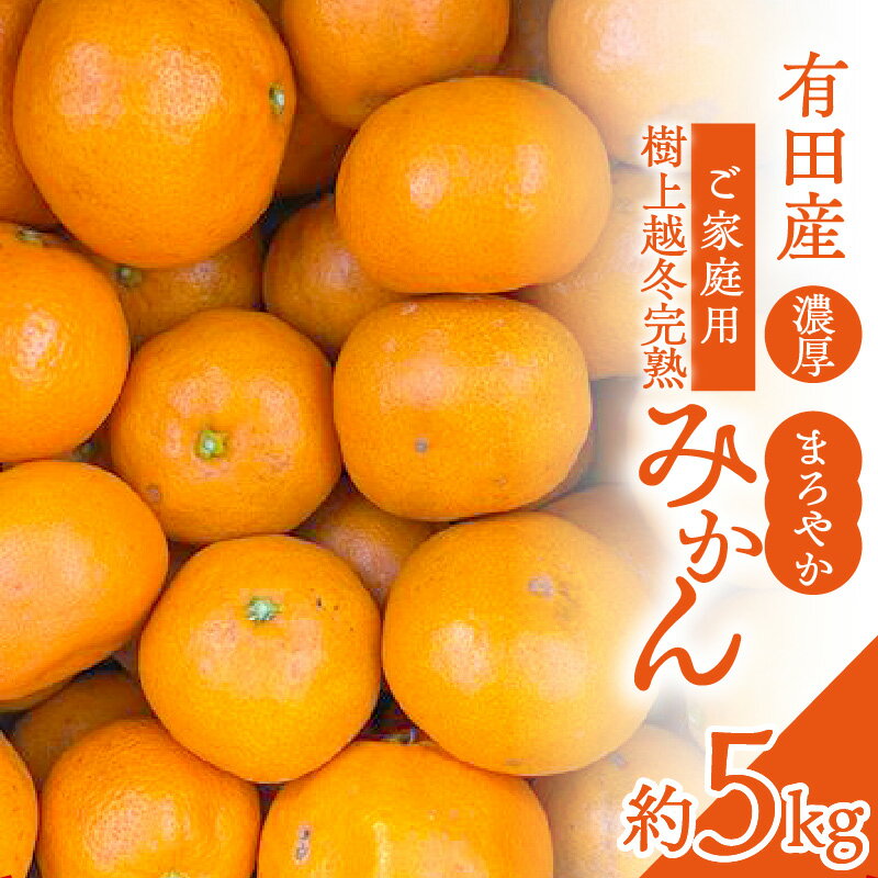 有田産 樹上越冬 完熟みかん 約5kg ご家庭用 サイズ混合 濃厚 まろやか 熟成 甘い 薄皮 みかん フルーツ 柑橘 果物 果実 果汁 栄養 高品質 温州みかん 有田みかん デザート 国産 お取り寄せ 和歌山県 湯浅町 送料無料
