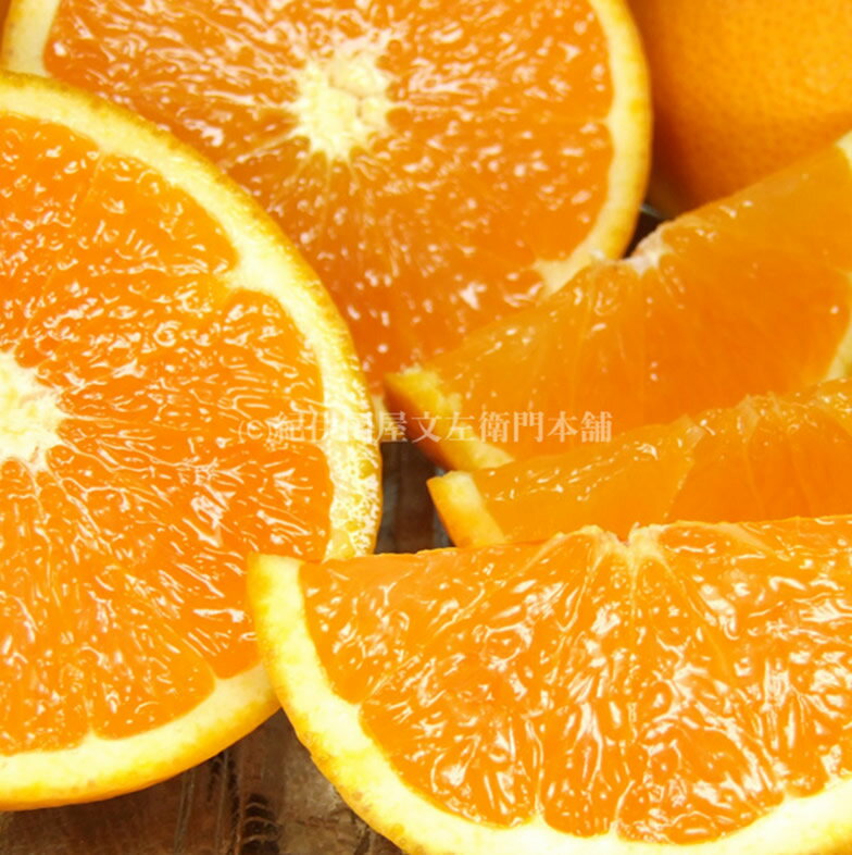 清見オレンジ 約 8kg 春みかん 果実サイズ おまかせ トロける 果肉 ジューシー 果汁 みかん 果物 果実 柑橘 フルーツ お取り寄せ 産地直送 紀伊国屋文左衛門本舗 日時指定不可 和歌山県 湯浅町 送料無料