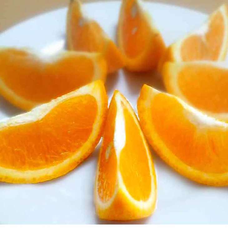 【限定】【2026年先行予約】 バレンシアオレンジ 5kg サイズおまかせ(2L～S)