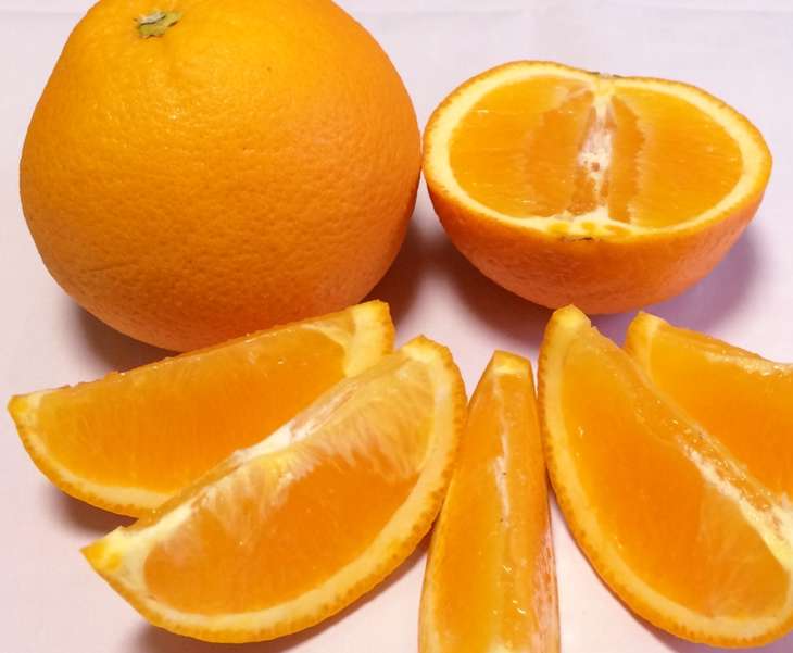 【限定】 有田産(湯浅町)ネーブル 9～15個（約4～5kg) サイズ(おまかせ)