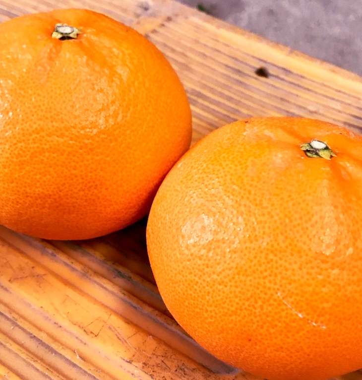 【ふるさと納税】【限定】【2026年先行予約】 湯浅町産 高級せとか 約3kg サイズおまかせ サムネイル3