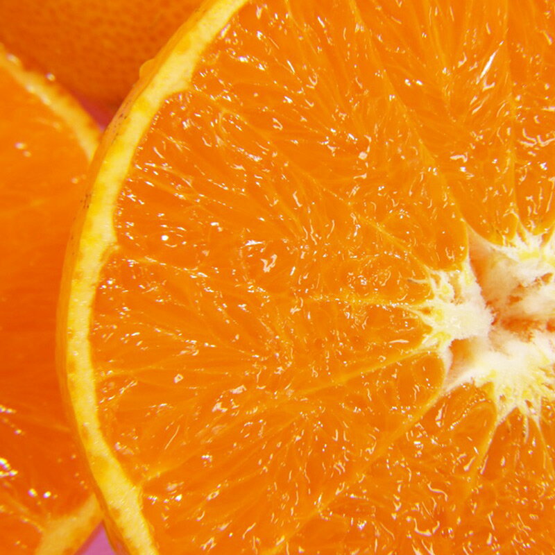 【ふるさと納税】【2026年先行予約】ハウスせとか 秀品 6～15玉 和歌山県有田産【ミカン 蜜柑 春みかん 柑橘】 サムネイル2