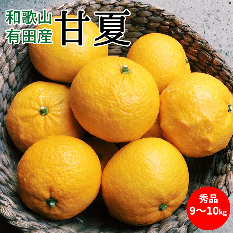 【2026年先行予約】甘夏 秀品 約9～10kg 和歌山県有田産【あまなつ 甘夏 ミカン 夏みかん 蜜柑 柑橘 和歌山】