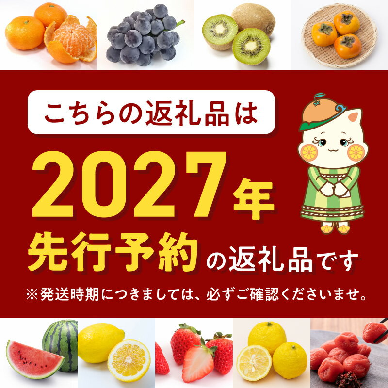 【ふるさと納税】【2027年先行予約】【限定】 デコポン 約 5kg 大玉 12玉 15玉 おまかせ 不知火 濃厚 甘味 ほどよい 酸味 バランス 抜群 味わい 大人気 有田産 厳選 フルーツ 果物 柑橘 果実 国産 食品 食べ物 おやつ デザート お取り寄せフルーツ 和歌山県 湯浅町 送料無料 - 画像2