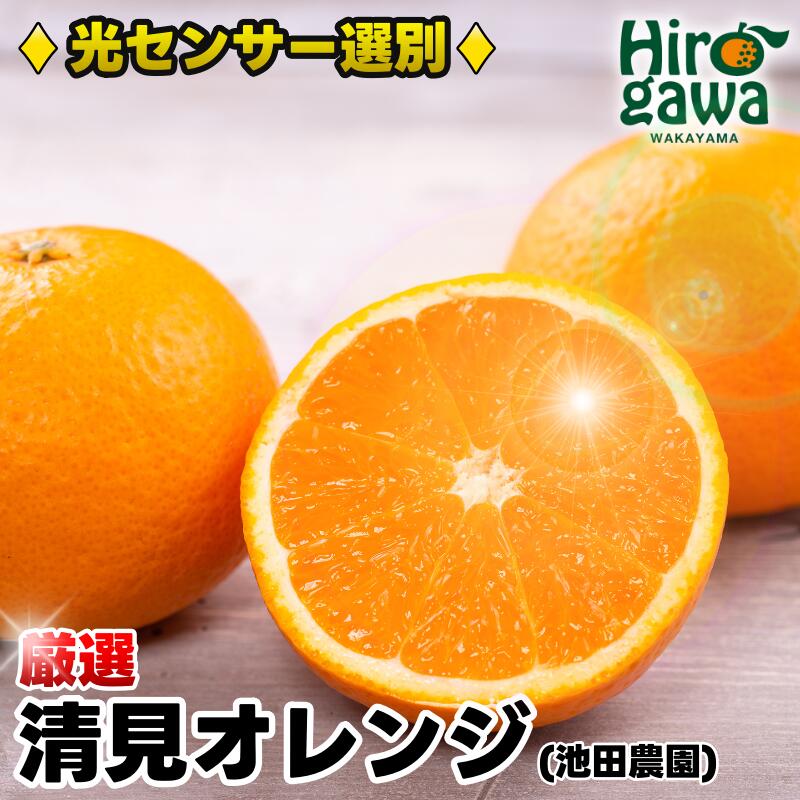 清見 オレンジ 厳選 光センサー / 清見オレンジ 清見タンゴール きよみ 清美 甘い 高級 和歌山 柑橘 5kg 10kg 5000円 ※2月上旬～6月上旬に順次発送 ※北海道・沖縄・離島への配送不可 //dekopon