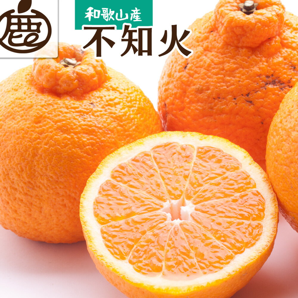 不知火 （ しらぬい ） 厳選 光センサー / デコポン 高級 甘い 和歌山 柑橘 6000円 9000円 5kg 10kg ※2月上旬～3月下旬に順次発送 ※北海道・沖縄・離島への配送不可 //dekopon