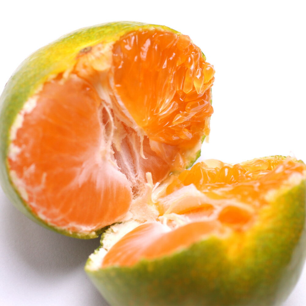 【ふるさと納税】 【先行予約】 家庭用 極早生 有田 みかん ※9月中旬〜11月中旬ごろに順次発送 ※北海道・沖縄・離島への配送不可 / 由良早生 甘い 柑橘 果物 和歌山 //mandarin //goku - 画像2