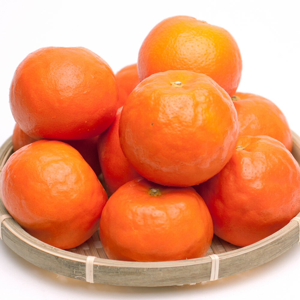 【ふるさと納税】 セミノール オレンジ 厳選 光センサー 選果 / みかん 甘い 高級 柑橘 晩柑 和歌山 有田 ※4月上旬～6月下旬ごろに順次発送 ※北海道・沖縄・離島への配送不可 //hassaku サムネイル2