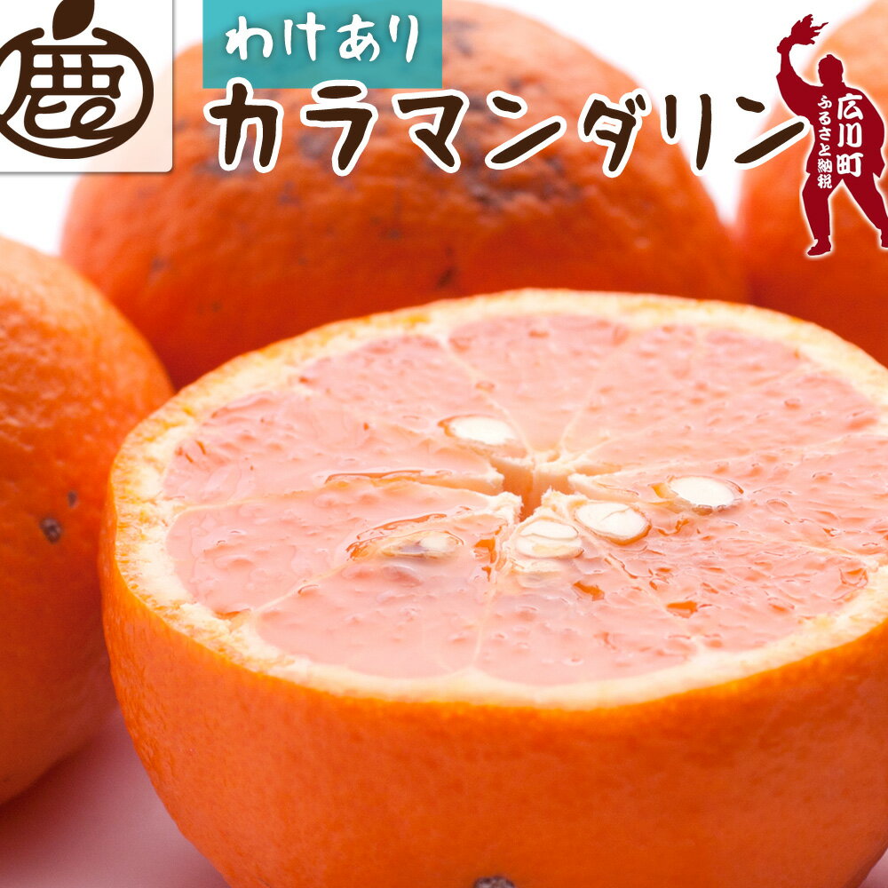 カラマンダリン 家庭用 / カラ カラオレンジ カラみかん 南津海 なつみ 訳あり 和歌山 有田 柑橘 晩柑 6000円 9000円 3kg 5kg ※4月上旬〜5月順次発送 ※北海道・沖縄・離島への配送不可