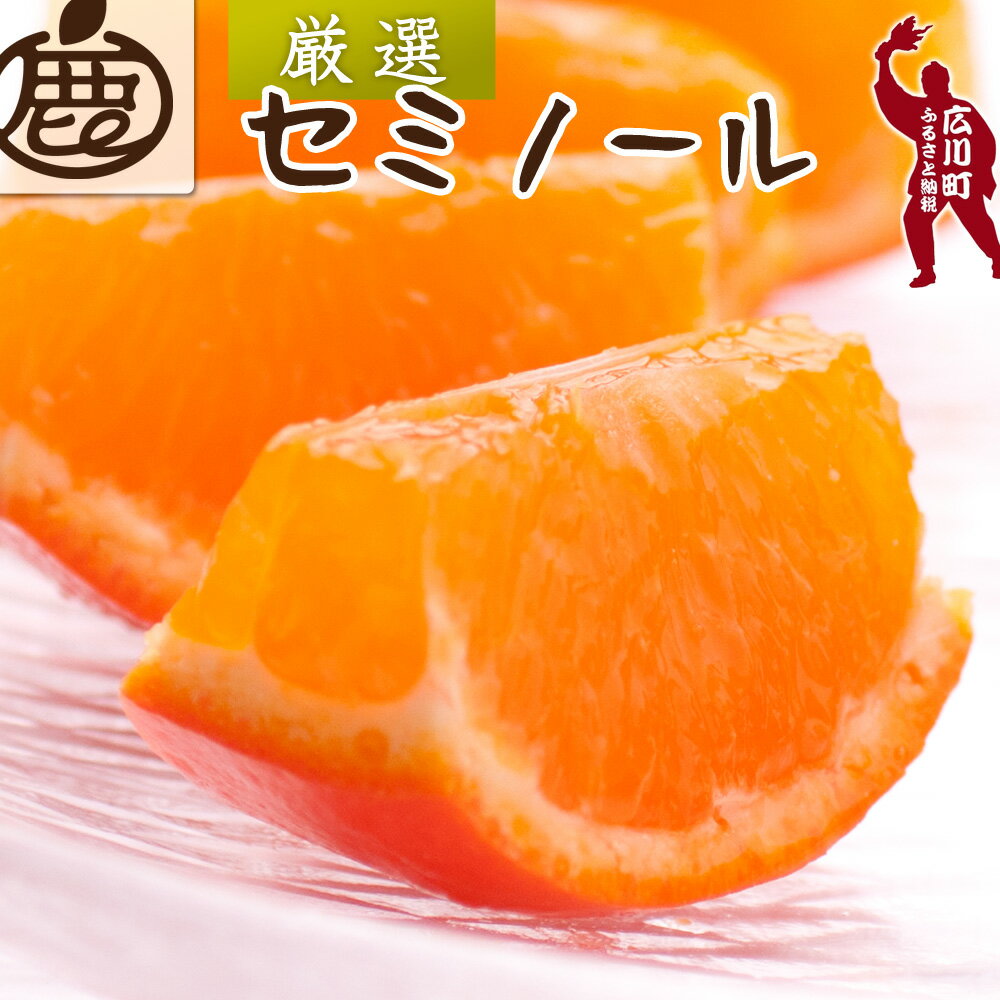 セミノール オレンジ 厳選 光センサー 選果 / みかん 甘い 高級 柑橘 晩柑 和歌山 有田 ※4月上旬～6月下旬ごろに順次発送 ※北海道・沖縄・離島への配送不可 //hassaku
