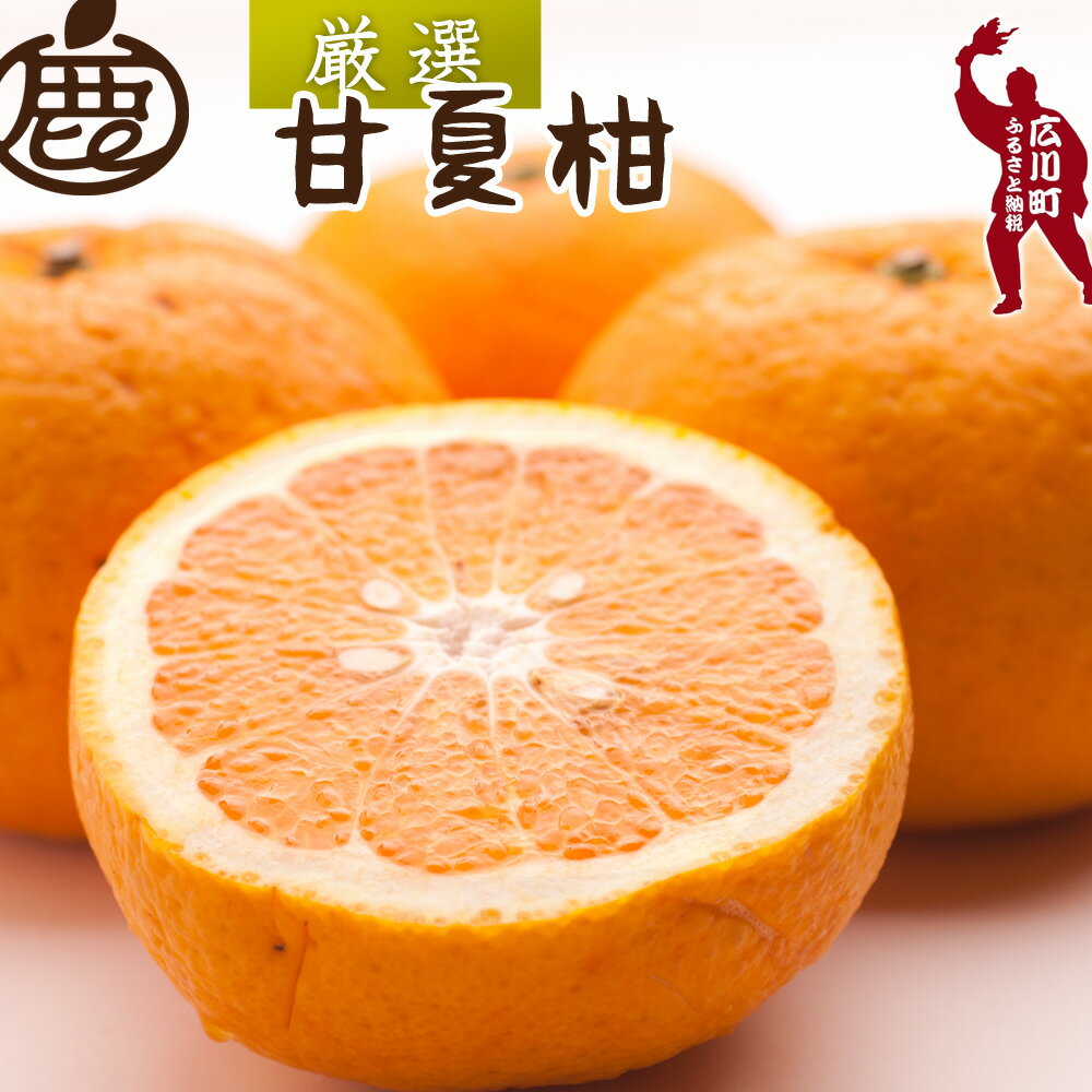 甘夏柑 厳選 光センサー 選果 / みかん 甘い 高級 柑橘 晩柑 和歌山 有田 ※4月上旬～6月下旬ごろに順次発送予定 ※北海道・沖縄・離島への配送不可 //hassaku