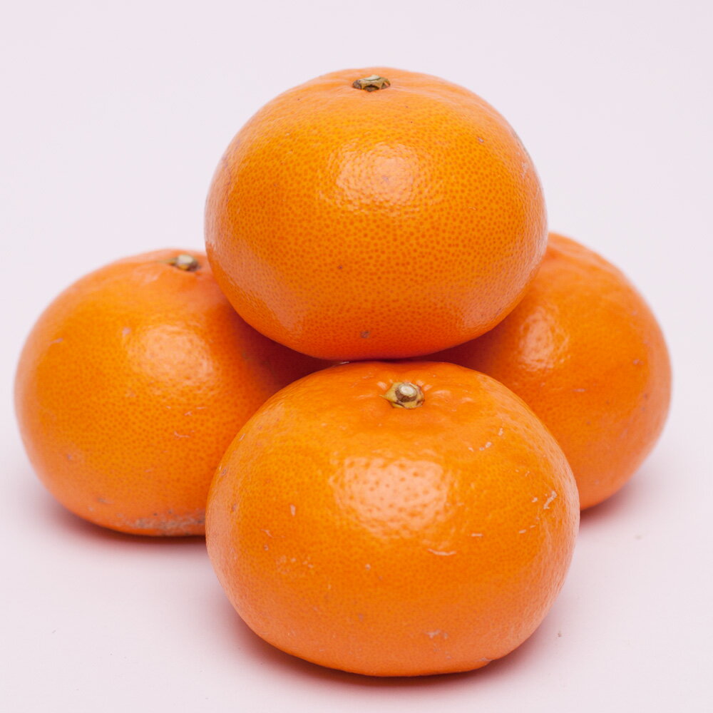 【ふるさと納税】 厳選 せとか 光センサー / 甘い 和歌山 柑橘 1kg 5kg 10kg ※2月中旬〜3月下旬頃発送 ※北海道・沖縄・離島への配送不可 //dekopon サムネイル2