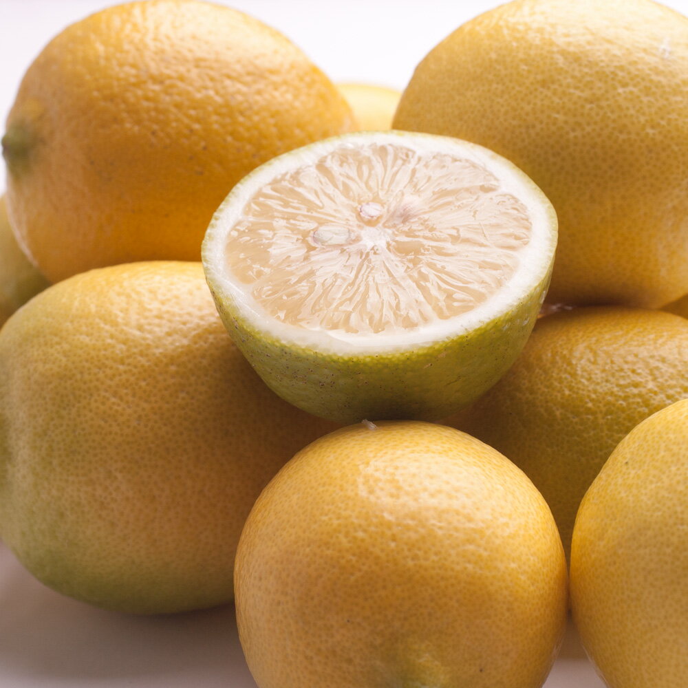 【ふるさと納税】 黒潮 レモン / 国産レモン 和歌山 有田 柑橘 防腐剤・WAX不使用 5000円 ※9月上旬〜翌年6月中旬に順次発送 ※北海道・沖縄・離島への配送不可 //lemon サムネイル3