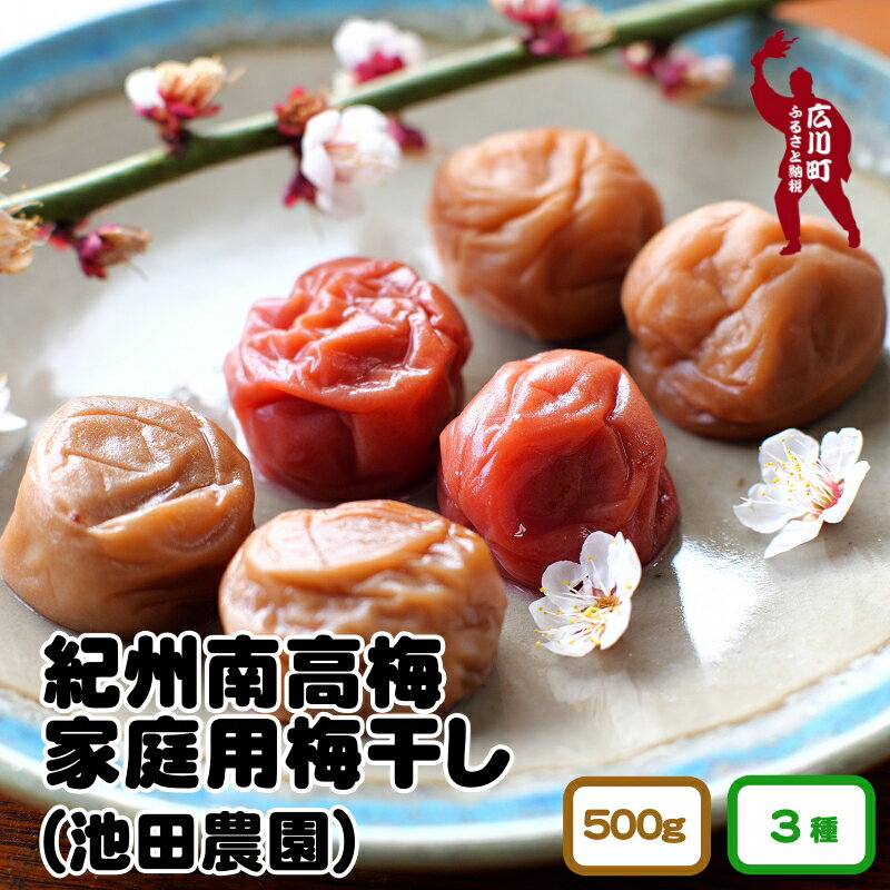 梅干し 家庭用 500g / 紀州 南高梅 なんこう梅 つぶれ梅 やぶれ梅 わけあり 訳あり 南高梅 うめ 梅 【ゆうパケット便でポスト投函】 //plum